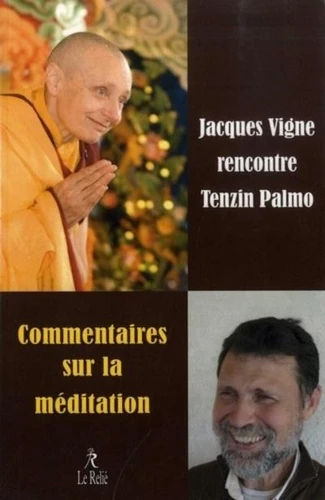 COMMENTAIRE SUR LA MÉDITATION - JACQUES VIGNES RENCONTRE TENZIN PALMO